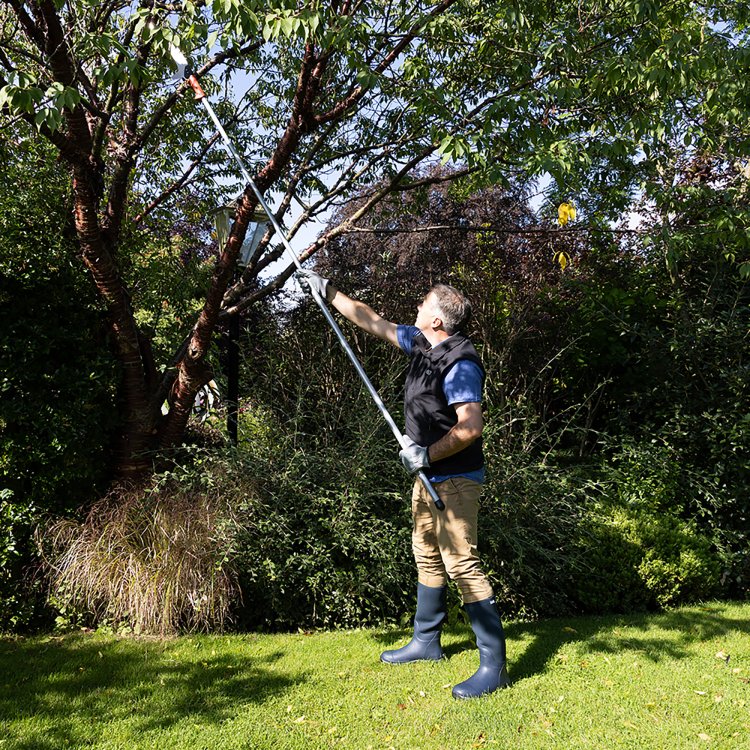 Wilkinson Sword Telescopic and Hand Held Saw