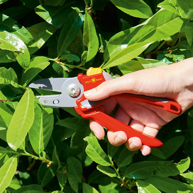 Wolf Garten Comfort Plus Anvil Secateurs