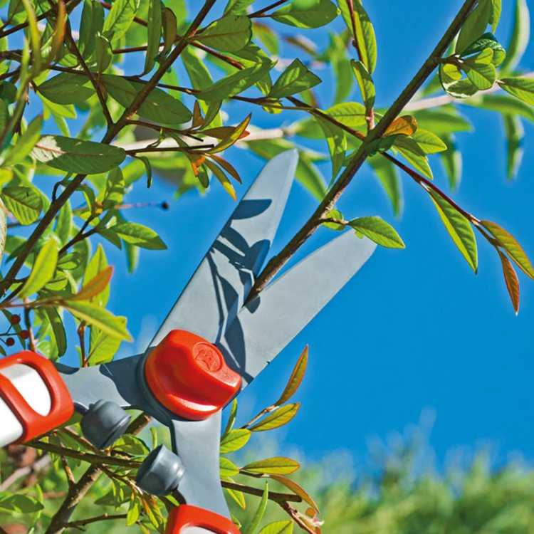 Wolf Garten Telescopic Hedge Shear Wolf Garten Telescopic Hedge Shear