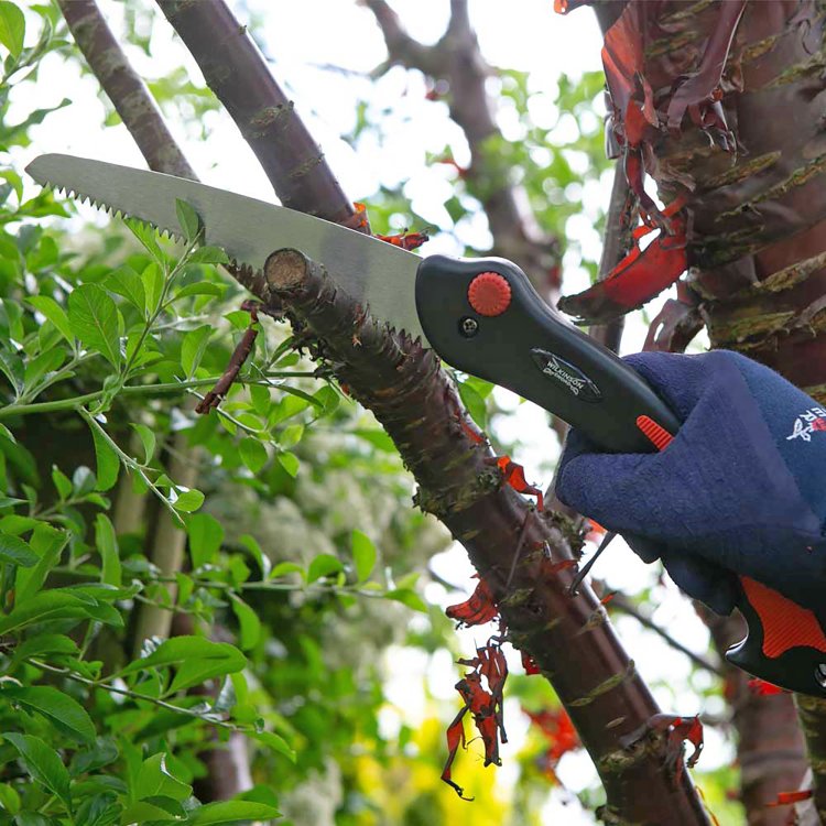 Wilkinson Sword Folding Pruner Saw & Pruner Set Wilkinson Sword Folding Pruner Saw & Pruner Set